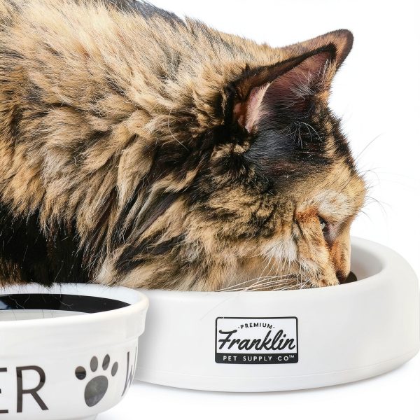 N5BZT Spill Proof Travel Bowl for Dogs Cats Portable BPA-7