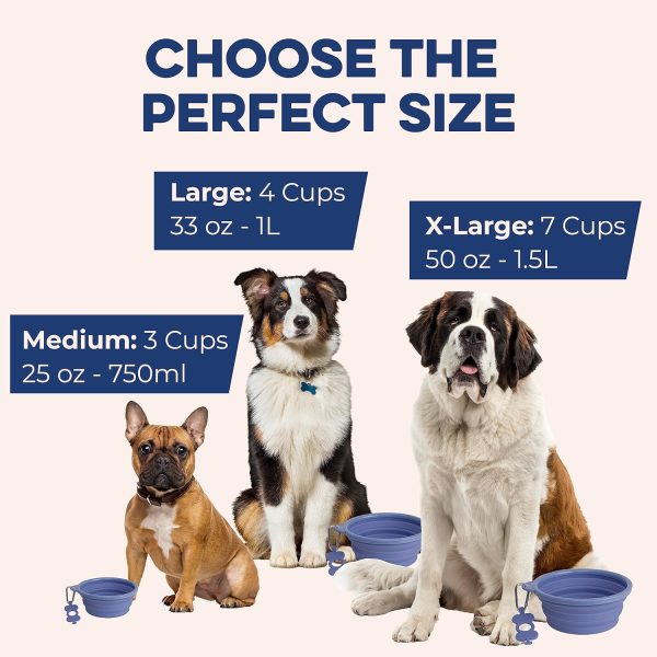 Bonza Collapsible Dog Water Bowl BPA Free Travel-2