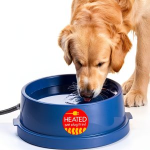 K&H Heated Pet Water Bowl BPA Free Thermostatic Control-0