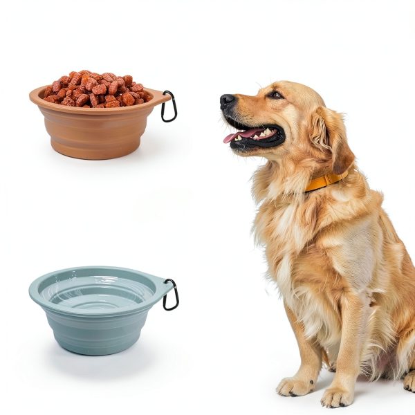 PetBonus Collapsible Dog Bowl Silicone Travel Water Food-3