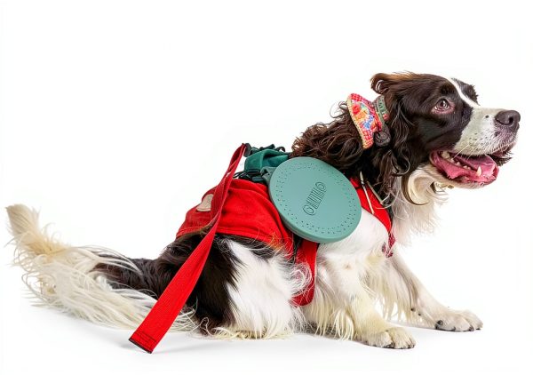 OHMO Collapsible Dog Travel Bowl Foldable Silicone Pet-4