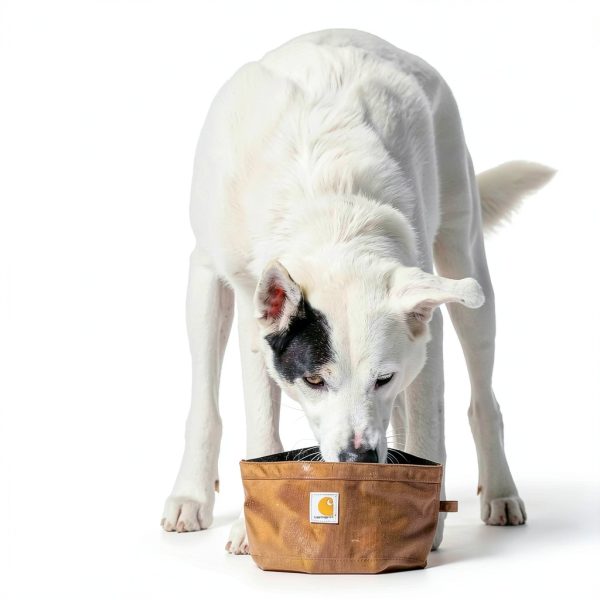 Carhartt Nylon Duck Travel Dog Bowl Packable Waterproof-5