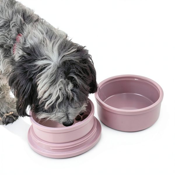 Kindtail Dog Travel Bowls Collapsible BPA Free Pet Supplies-6
